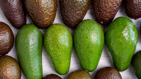 Fruit services collective augmente sa capacité de stockage frigorifique grâce à des rayonnages pushback avancés